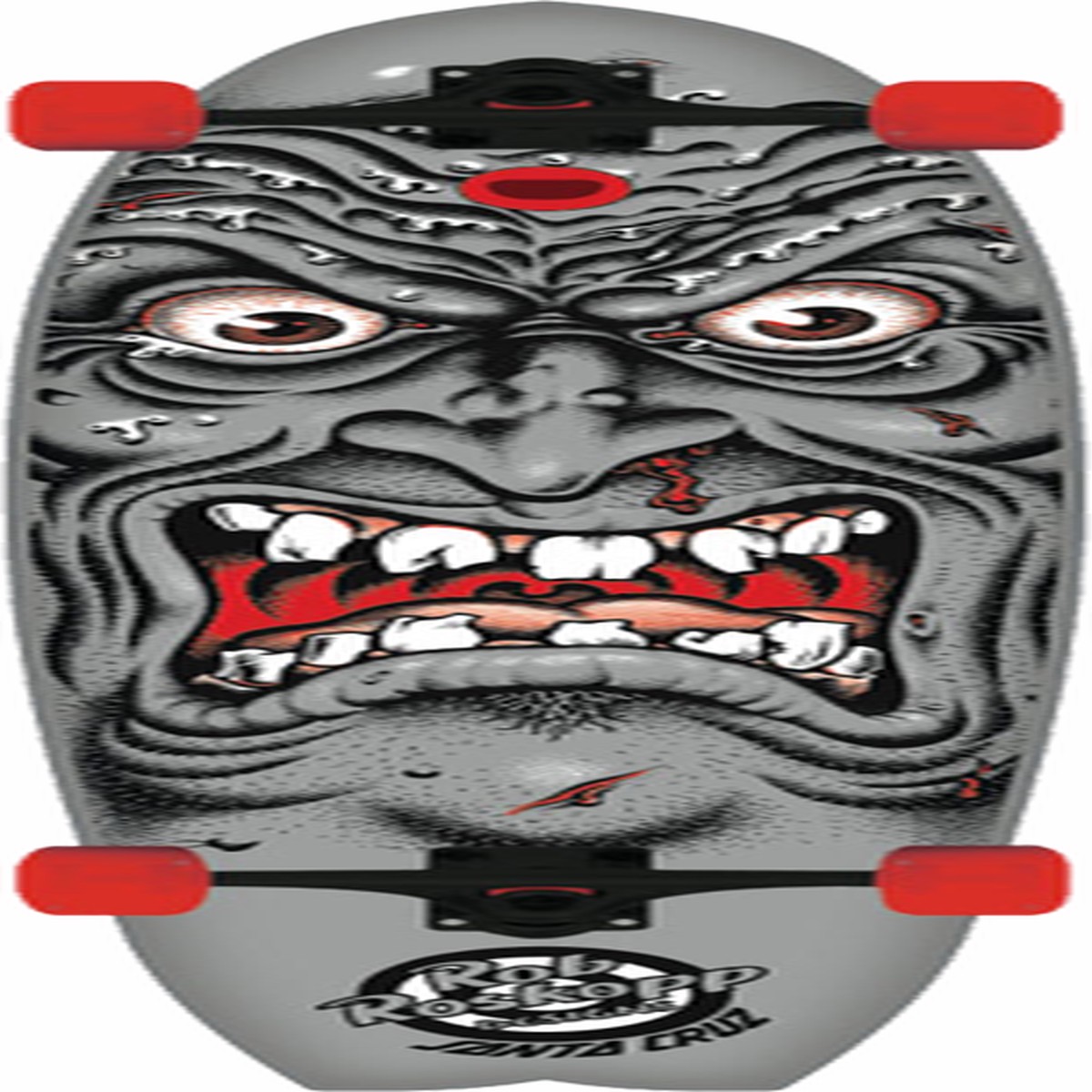 SANTA CRUZ ROSCOPP BIG WAVE ROB SKATEBOARD COMPLETE 10.4x42.3 cruiser